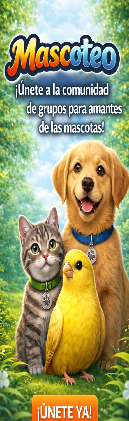 Mascoteo - Avianuncios